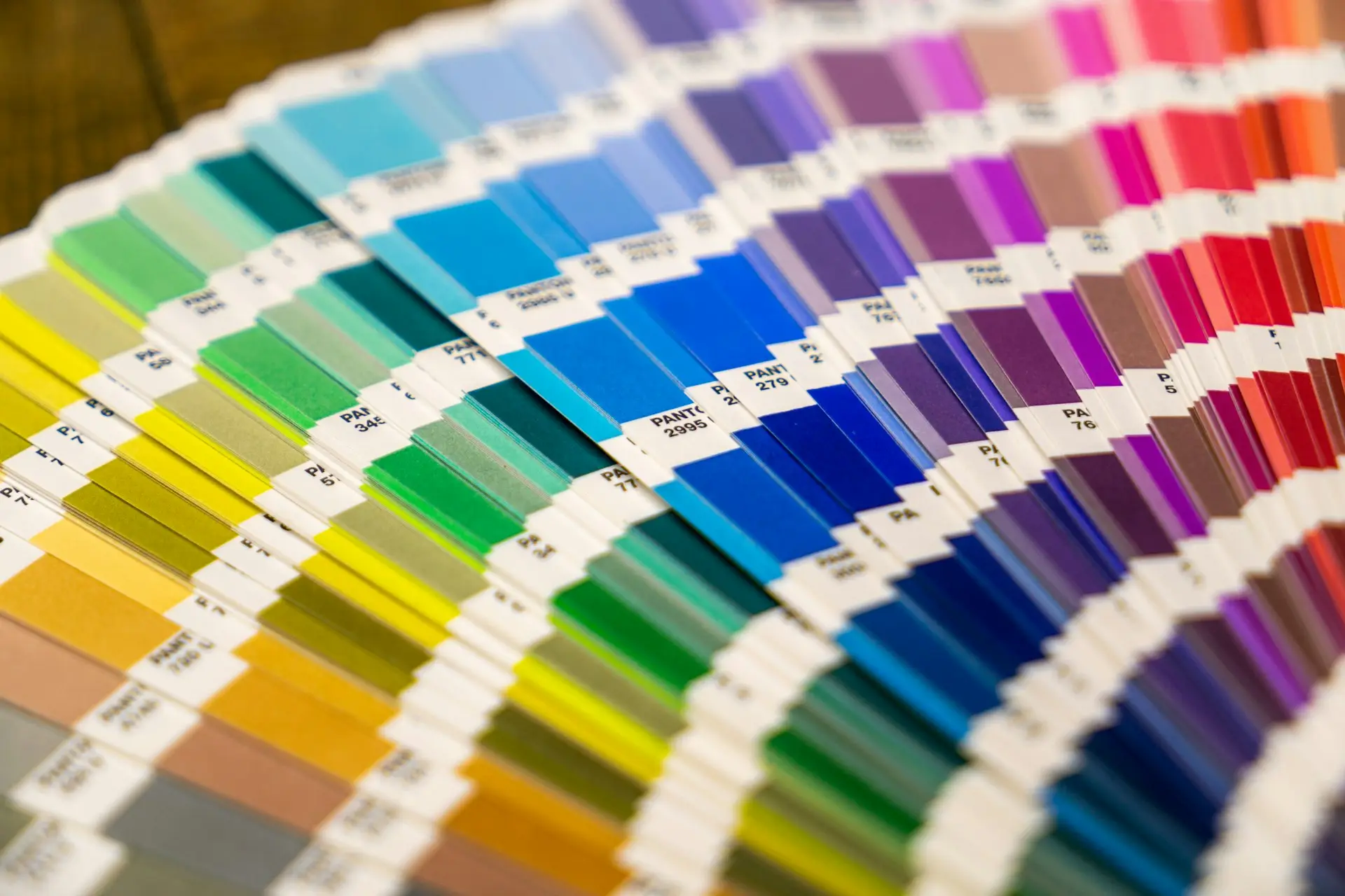 Nonprofit Branding: Identity, Voice and a Brand Guide That Works