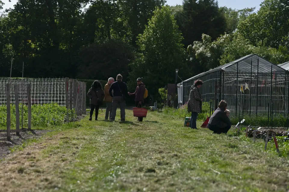 People working in a community garden with greenhouses