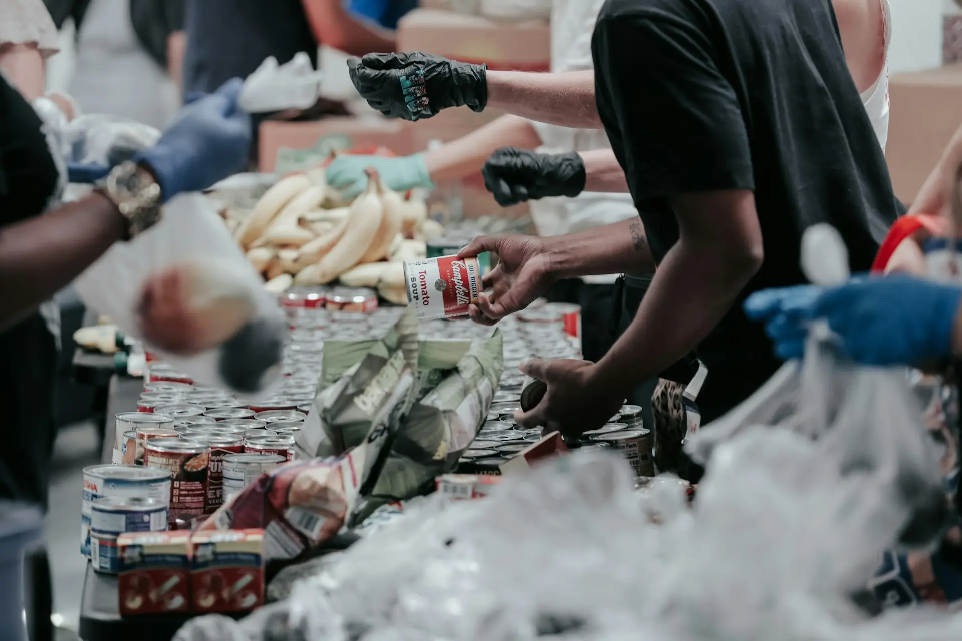 Nonprofit Capacity Building: Strategies, Assessment and Funding