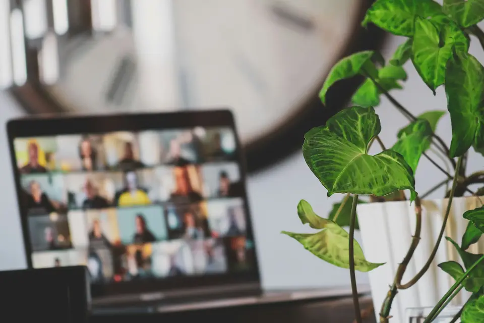 Laptop showing a video call next to a houseplant