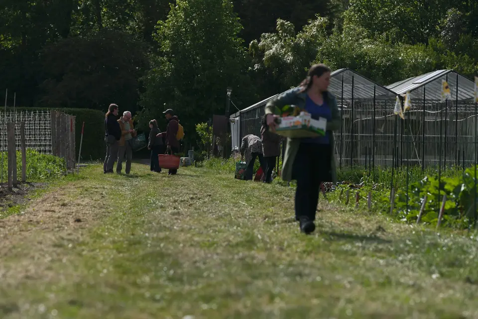 Woman carrying produce through a community garden