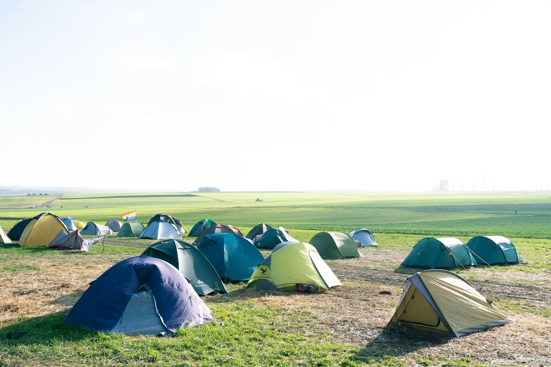 Viele Zelte stehen bei Morgenlicht auf einer weiten Wiese