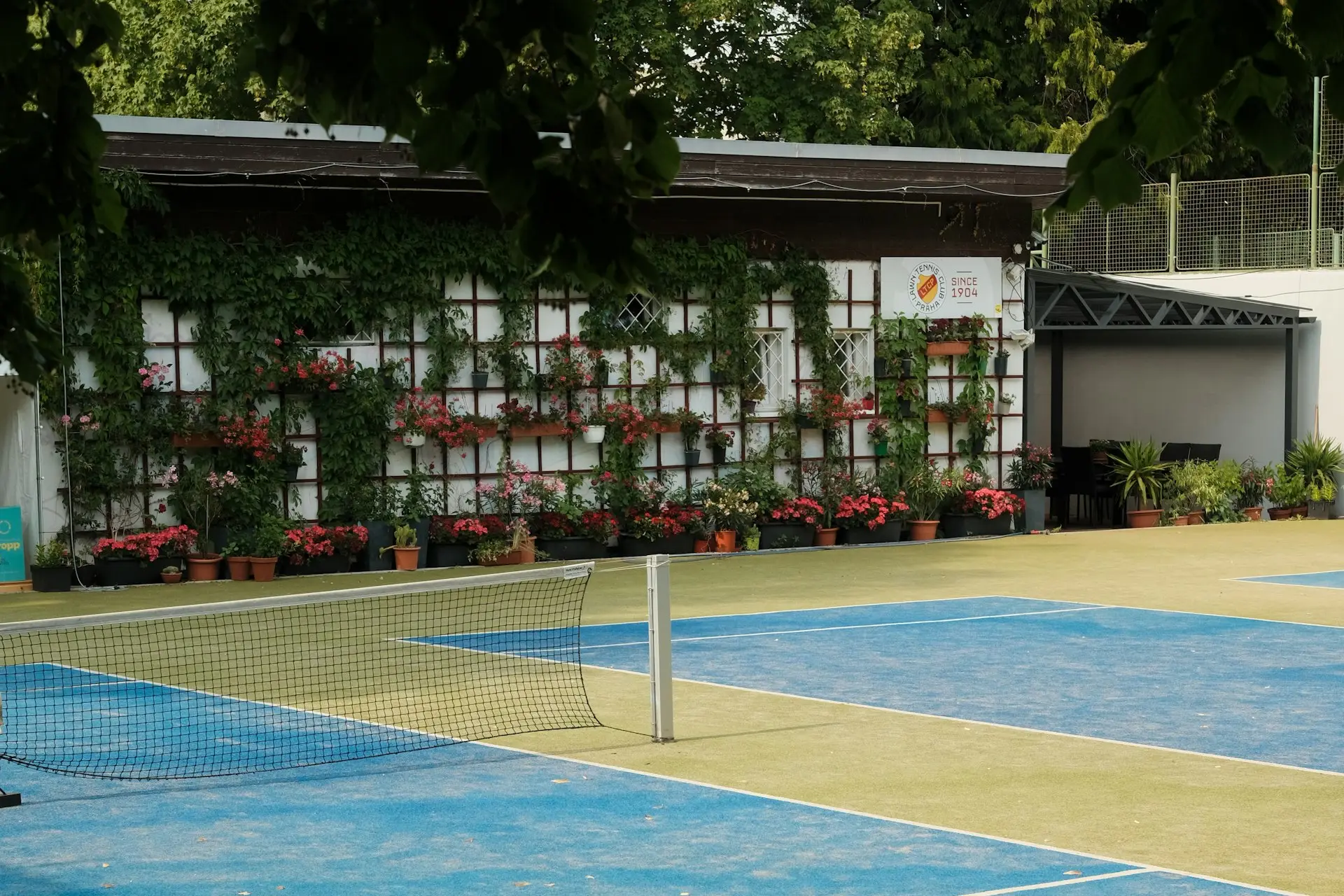 Tennisplatz mit Netz vor einem bewachsenen Vereinsheim mit Blumenkästen
