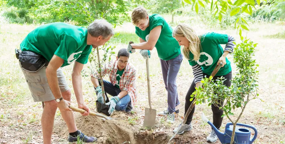 Volunteers planting a tree together.