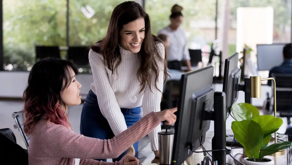 Two colleagues working together at a computer.