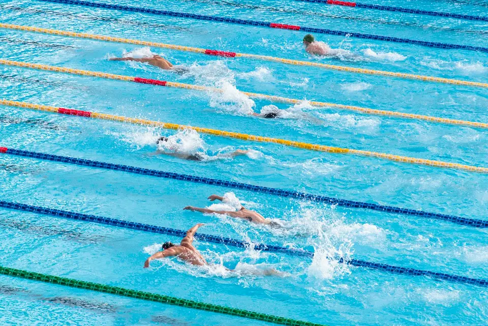 Mehrere Schwimmer trainieren parallel auf ihren Bahnen.