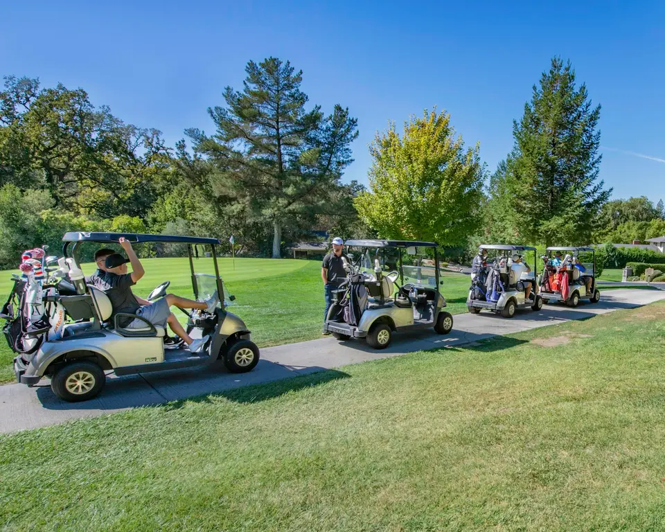 Mehrere Golfcarts stehen an einem sonnigen Tag am Platz.