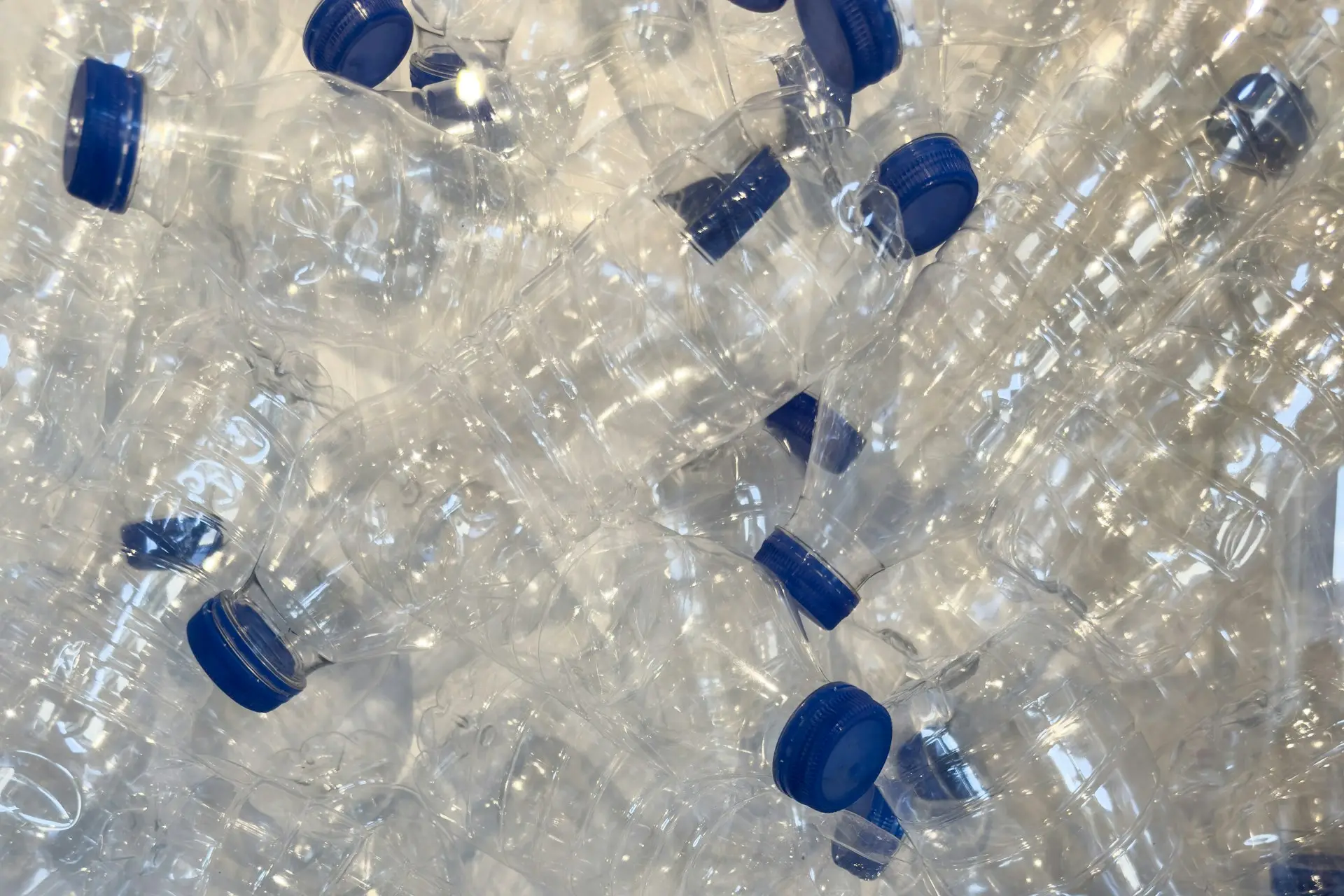 Leere Plastikflaschen mit blauen Verschlüssen