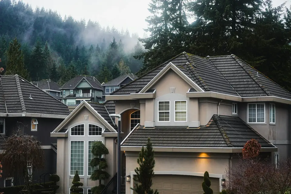 Single-family homes in a residential community.