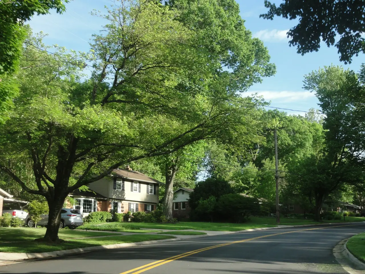 A house on a quiet, tree-lined residential street.