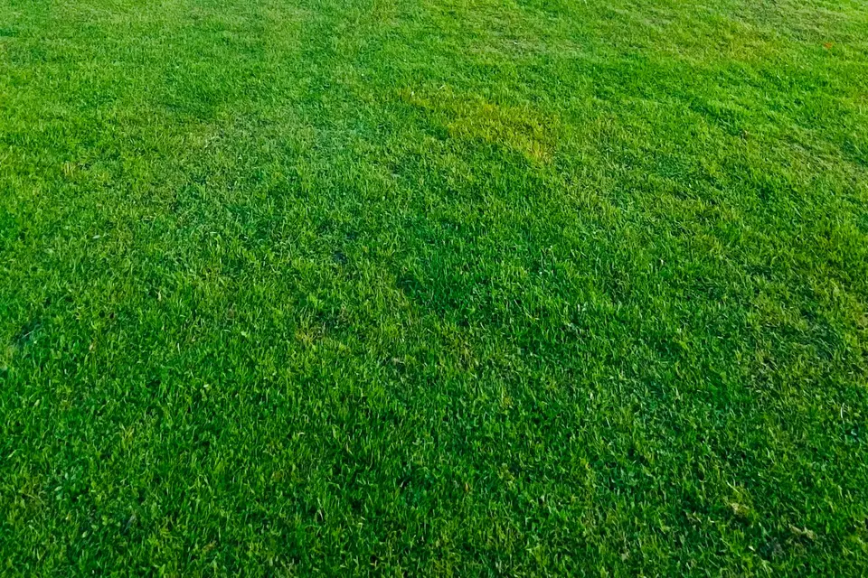 Fußballplatz mit einem Tor im Hintergrund